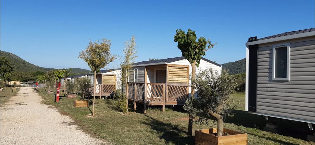 camping paradis roudeliere palimier boutique 3