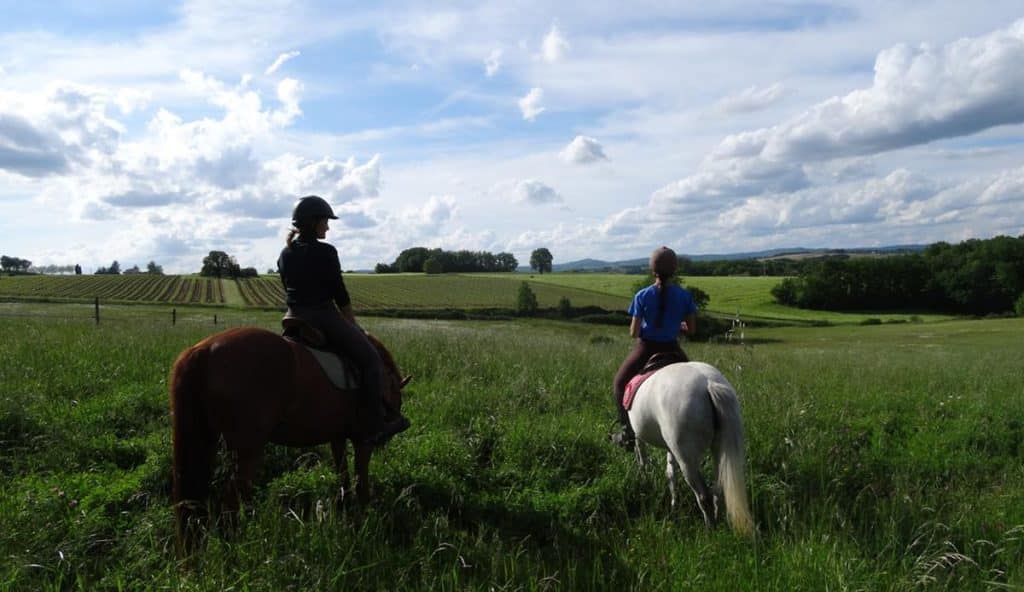 promenade poney 1024x592 1