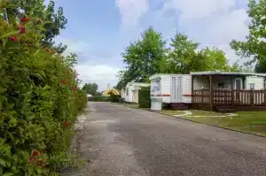 AdobeStock 184898237